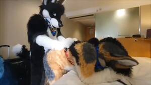 Gay Fursuit Porn - Gay Fursuit sex - ThisVid.com