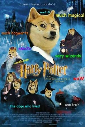 Doge Meme Porn - Very wow. Such potter. Hairy doge and the sorcerer's bone ...