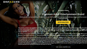 All Access Porn Sites - Access 5 Best Paid Porn Site for Free [Safely & Privately]