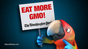 Gmo Adventure Time Porn - Corrupt federal government now using your taxpayer dollars to fund GMO  propaganda campaigns that enrich Monsanto