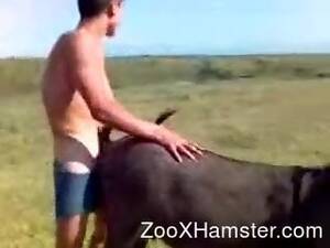 Donkey Fucker Porn - Donkey Fuck Man