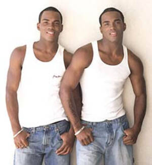 Black Gay Twin Porn Stars - The Mad Professah Lectures: Black, Gay Twins Work as Porn Stars AND  Burglars?