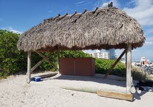 haulover beach sex group - Nude Beach in Miami: Haulover Beach Naturists Spar Over Tiki Huts | Miami  New Times