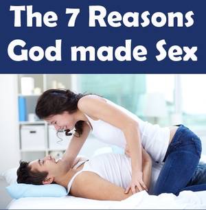 Bible From Adam And Eve Sex - The 7 Reasons why God made Sex