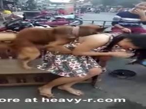 Extreme Animal Sex Cartoons - She Wasn't In The Mood For Dog Sex