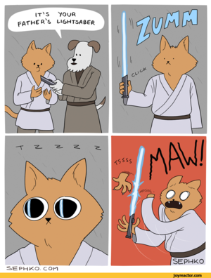 Cat Star Wars Porn - porn star wars - pictures, memes and posts on JoyReactor