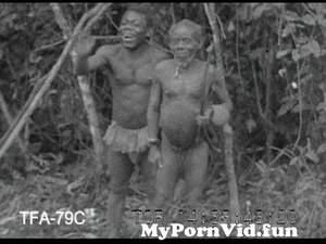 African Pygmy Porn - African Pygmy Thrills, 1930s from afrikan old Watch Video - MyPornVid.fun