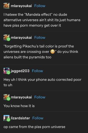 Alternative Porn Tumblr - The Mandela Effect and poor memory : r/tumblr