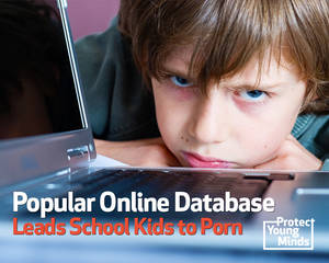 Elementary School Porn - EBSCO Information Services offers online library resources to public and  private elementary, middle and high schools. But it has a dark side!