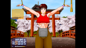 cartoon hentai flash games - Feel the Flash Hardcore - Kasumi:Rebirth / Ver: 3.2.5 Â» Pornova - Hentai  Games & Porn Games