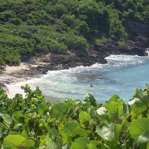 belgium topless beach - Anse Tarare - All You Need to Know BEFORE You Go (with Photos)