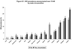 Circumcised Vs Uncircumcised Porn - 