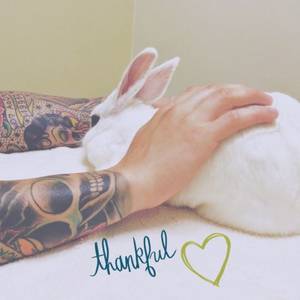 Funny Bunny Porn - Thankful for bunnies , yes indeed. Bun BunBunsFunny BunniesThankful RabbitsPornBunniesBread ...