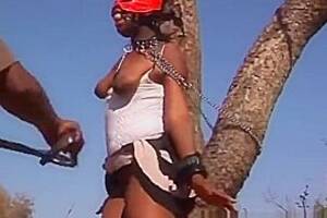 African Slave Xxx - African Slave Tied To Tree Outdoors Slap Tortured, watch free porn video,  HD XXX at tPorn.