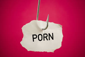 Every Porn - iStock_000012204477_Large