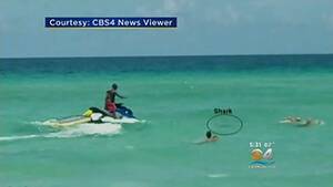 beach nude florida - Naked swimmer bitten by shark at Florida beach