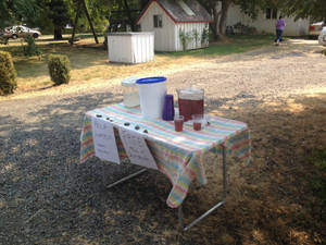 anal sex on picnic tables - The Girl in the Red Rubber Boots | Emily Smucker's Blog jpg 500x375