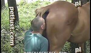 Man Fucks Mare Pussy - Mare pussy getting banged from behind XXX