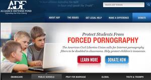 Gay Porn Baby - Anti Gay Websites