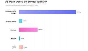 Bisexual Government Porn - xHamster shows straight folk celebrate Pride by consuming LGBTQ porn