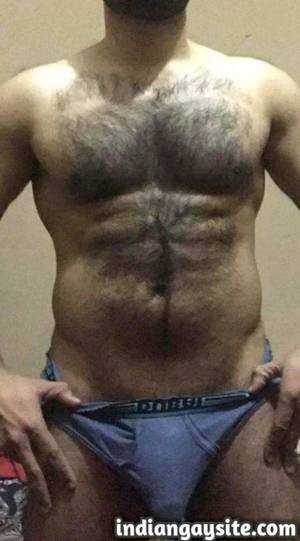 Indian Bull Porn - Indian Gay Porn: Sexy desi hairy bull showing off his hunky body and big  hard cock