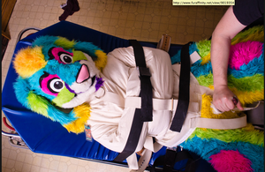 Furry Cosplay Porn Bondage - fursuit porn | MOTHERLESS.COM â„¢