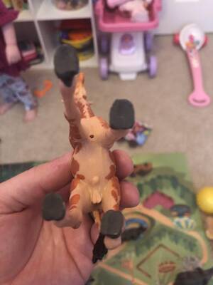 Anatomically Correct Animal Sex Toys - My daughter's animal toys have genitalia. : r/mildlyinteresting