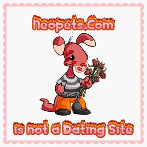 Neopets Sex Porn - PSA! : r/neopets