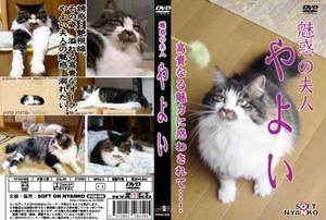 Japanese Cat Porn - original-2-550x371