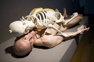 Gay Skeleton Porn - A naked man and skeleton, appearing in Marina AbramoviÄ‡'s career  retrospective at MoMA.