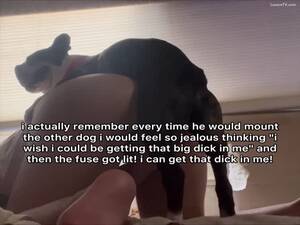 Bestiality Porn Captions - my zoophilia story - LuxureTV