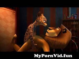 Madagascar 3 Movie Porn - Madagascar 3 - Alex and Gia from madagascar gia Watch Video - MyPornVid.fun