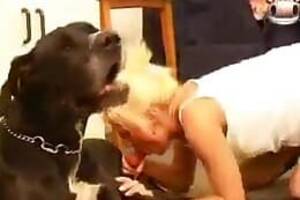 Doggie Blowjob - Animal Sex - Blowjob content and zoo sex videos.