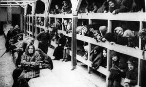 Nazi Concentration Camps Women Sex - The Guardian view on Holocaust responsibility: Poland cannot wholly escape  blame | Editorial | Opinion | The Guardian