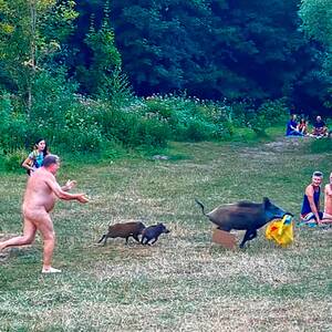 danish nudist camp sex - You swine! German nudist chases wild boar that stole laptop | Germany | The  Guardian