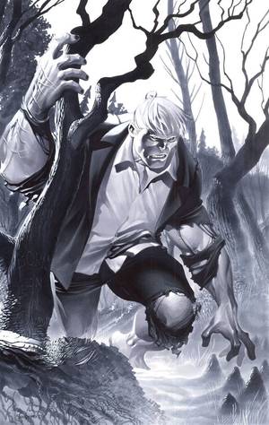 Dc Comics Solomon Grundy Porn - Solomon Grundy by Christopher Stevens