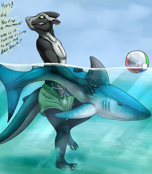 Furry Shark Sex - Furry Shark Sex | Sex Pictures Pass