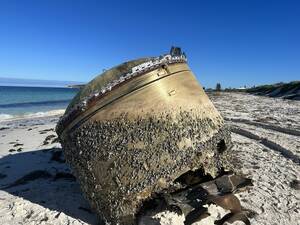 hairy amateur nude beach sex - Mysterious object that washed up on beach identified by Reddit sleuths