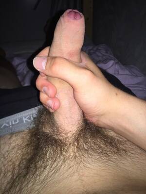 big fat hairy uncut cock - Hard and hairy uncut cock - Penis Pictures