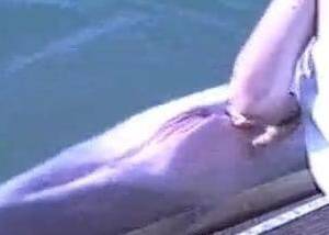 dolphin vagina cam - Play with dolphin pussy