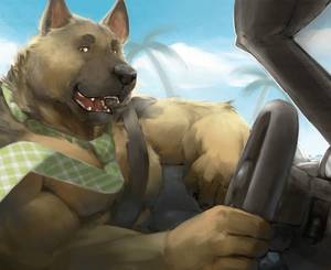 German Shepherd Gay Furry Porn - ralphthefeline: â€œGerman Shepherd is driving on his fancy convertible car  with wind on his fur~He better watch out where he's going instead of  looking at ...