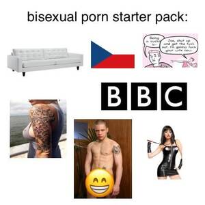 Bisexual Humor Meme - Bisexual porn starter pack : r/bisexual