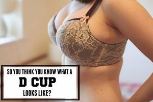 d cup boobs - NSFW] So you think you know what a D cup looks like? Our small attempt to  sort out the misconceptions : r/ABraThatFits