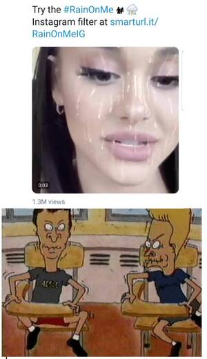 Ariana Grande Facial Porn - The mods are jealous of her : r/dankmemes