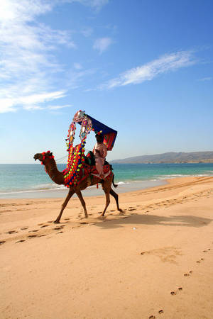 all natural pakistan - Paradise Point Beach | Karachi, Pakistan