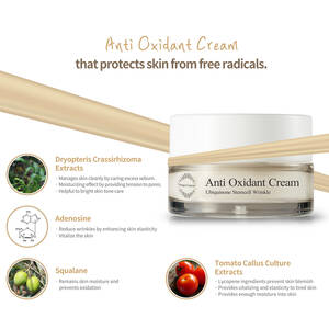 Cadillac Michigan Homemade Sex Amber - Anti Oxidant Cream - Reflections Spa