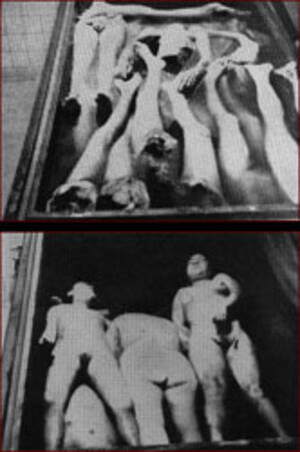 Holocaust Sexual Experiments - NOVA Online | Holocaust on Trial | The Experiments