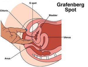 g spot position - Best sex position to hit g spot . Adult Images.