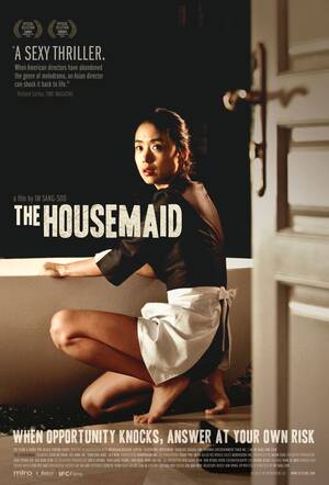 maid movies xxx - The Housemaid (2010) - IMDb