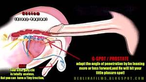 Gay Anal Diagram - shemale anatomy - XVIDEOS.COM